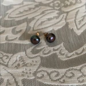 Black Pearl - 14K Gold - Stud Earrings